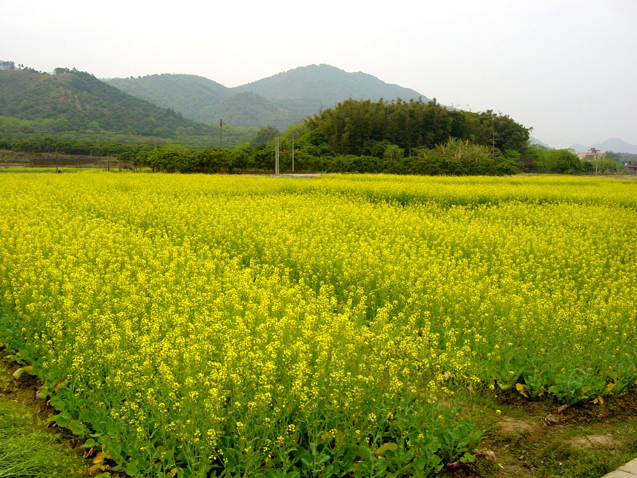 惠州龙门 东莞出发·惠州龙门温泉+南昆山：负离子山野里的温泉度假