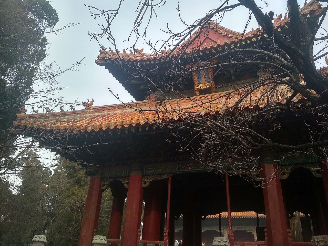 顺德逢简 东莞出发·佛山逢简水乡+杏坛：岭南一叶扁舟的桑基鱼塘
