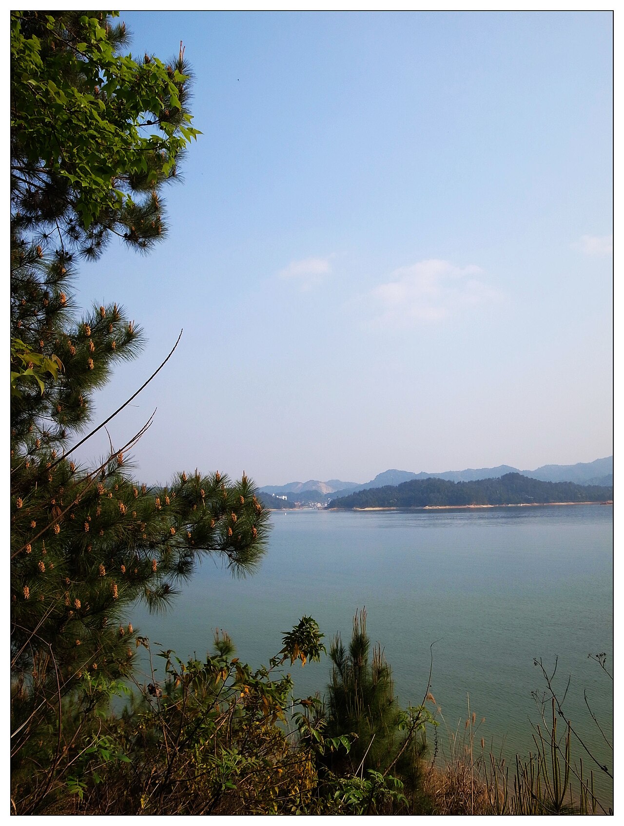 河源万绿湖:珠三角后花园的水世界